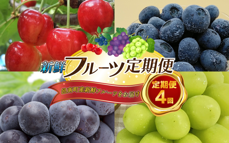 【先行予約】【数量限定】新鮮フルーツの定期便 年4回お届け（さくらんぼ佐藤錦、冷凍ブルーベリー、ピオーネ、シャインマスカット）