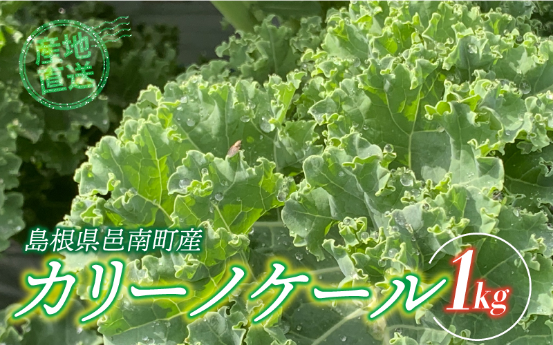 カリーノケール1kg　6月よりお届け