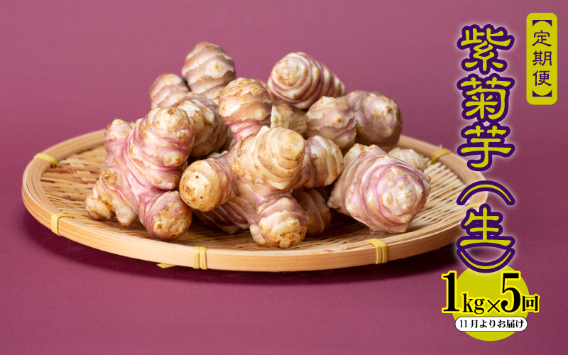 【定期便】紫菊芋（生）1kg×5回　11月よりお届け