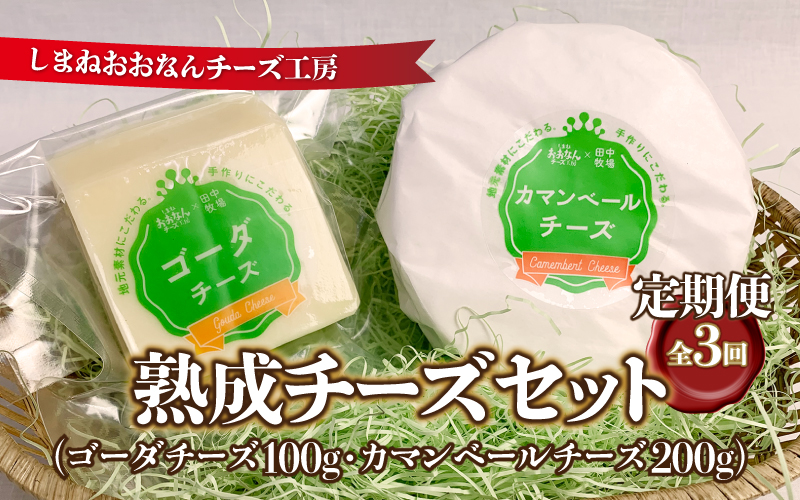 【定期便3回】熟成チーズセット（ ゴーダチーズ100g・カマンベールチーズ200g）