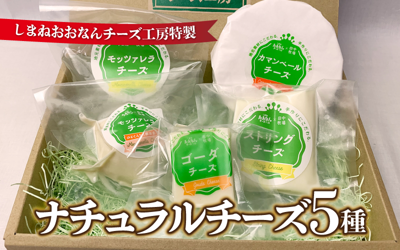 ナチュラルチーズ5種詰合せ（モッツァレラ2種・ストリング・ゴーダ・カマンベール）