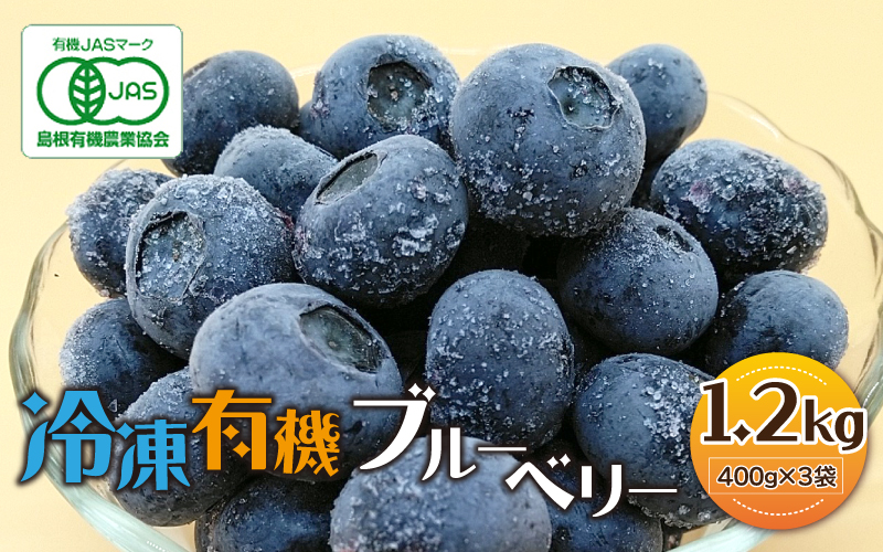 【先行予約】冷凍 有機ブルーベリー 1.2kg（400g×3袋）