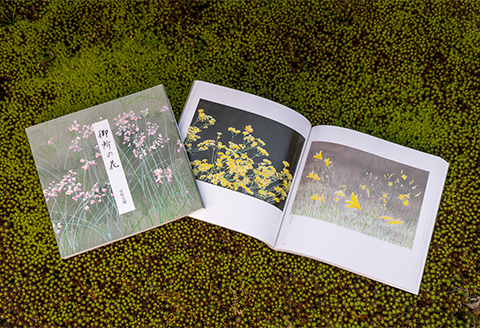 【数量限定】画家、安野光雅が描いた『御所の花』と『中国路』の2冊セット
