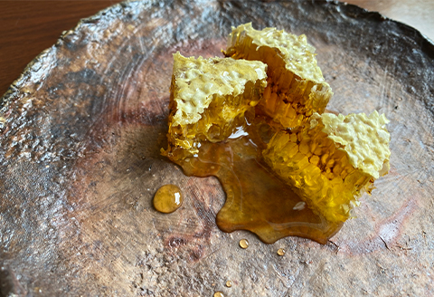 津和野の木や花の蜜を集めた天然百花蜜「里山の雫」(315g×1瓶)