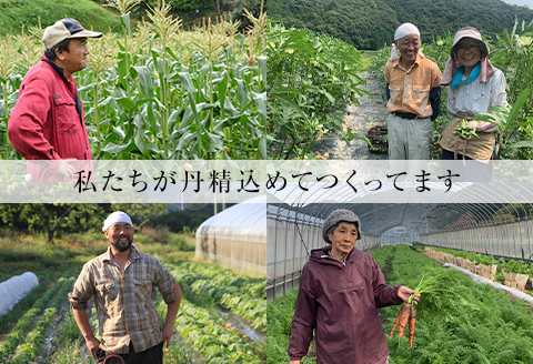 【産地直送】島根県津和野産・採れたて旬の野菜詰め合わせセット[6～8種セット]【配送不可地域：離島】