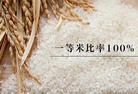 高津川の恵み 特別栽培米ヘルシー元氣米2kg×2袋(4kg)(令和7年産)