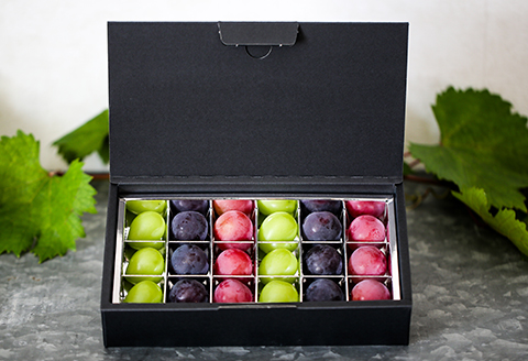 『ぶどうの宝石箱B』(3品種)【2026年9月より順次発送/ふるさと納税限定/数量限定】【配送不可地域：離島】
