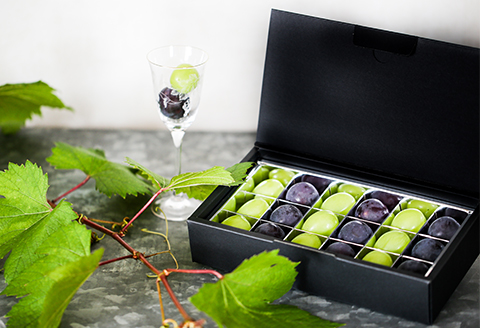 『ぶどうの宝石箱A』(2品種)【2024年9月より順次発送/ふるさと納税限定/数量限定】【配送不可地域：離島】