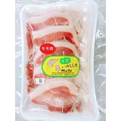 【人気のジビエ】イノシシ肉スライス1kg　(250g×4パック)【配送不可地域：離島】
