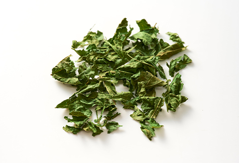 【栽培期間中農薬・化学肥料不使用】健康志向の方が注目する「桑葉」180g×5袋