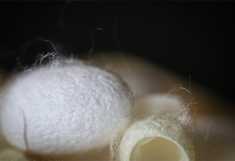 【ふるさと納税限定】まゆ玉(切り繭)100個セット