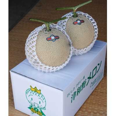 メロンパークのメロン【2026年9月より順次発送・2Lサイズ2玉】