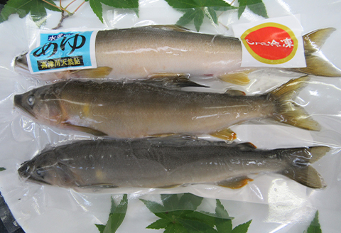 【CAS冷凍】スイカの香りと美味しさを閉じ込めた清流・高津川の天然鮎3尾/袋×3(約450g)【配送不可地域：離島】