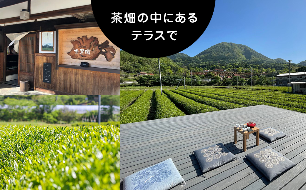 【参加チケット】茶畑を一望するお茶農家のテラスで煎茶体験＆飲み比べ