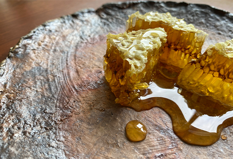 【数量限定】雲海熟成　巣箱で2年熟成した生はちみつ(150g×2個)