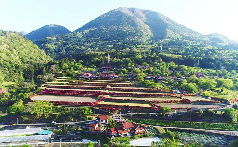 青野山の湧水と朝晩の寒暖差が育んだ棚田の甘～い米「コシヒカリ」(白米5kg×1袋)(令和7年産)