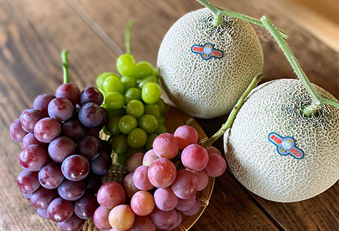 【2026年9月より順次発送・先行受付】アールスメロン2L2玉+ぶどう3種のフルーツ堪能セット【配送不可地域：離島】