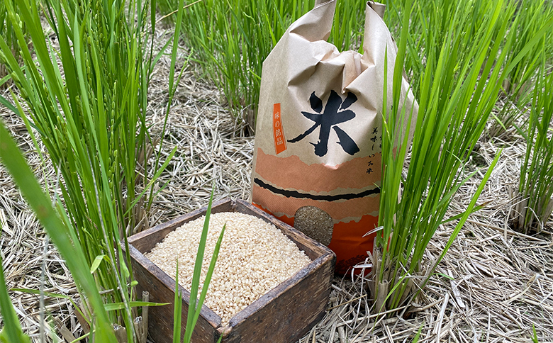 山間の清流を引き込んだ田んぼで作った「きぬむすめ玄米」5kg(令和7年)