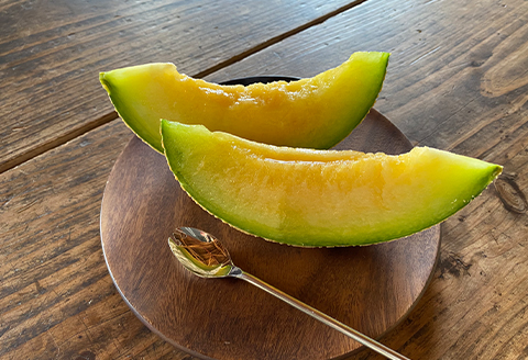 メロン2L1玉クインニーナ1房セット【2026年9月より順次発送】