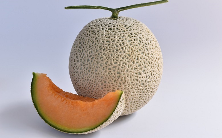 メロンパークの赤肉メロン【2026年9月より順次発送・2Lサイズ1玉】