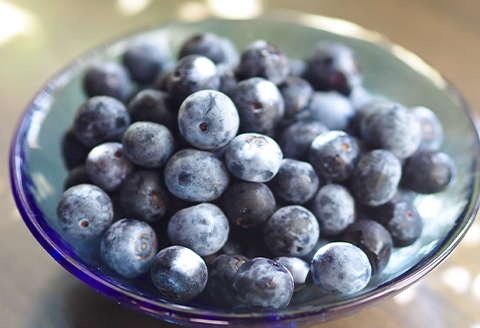 【発送月固定定期便】フルーツ定期便A 旬の美味しい果物を毎月1種全4回【配送不可地域：離島】