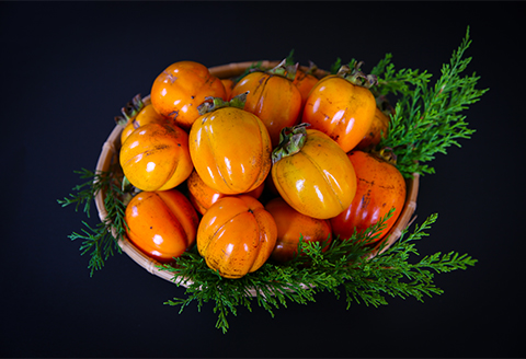 【発送月固定定期便】2026年10月発送開始 有機JAS認証オーガニック西条柿・満喫コース全3回