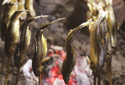 【天然もの】清流・高津川上流で捕れた天然あゆ(冷凍1200g・12～24尾程度)【配送不可地域：離島】