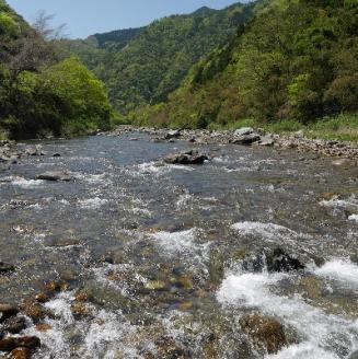【CAS冷凍】スイカの香りと美味しさを閉じ込めた清流・高津川の天然鮎3尾/袋×3(約450g)【配送不可地域：離島】