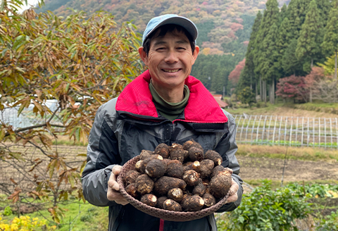 日本三大芋煮の里、津和野の大地で育てた泥付き里芋850g×2袋