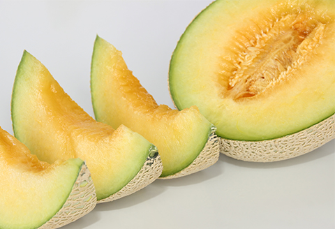 メロンパークのメロン【2026年8月より順次発送・2Lサイズ2玉】