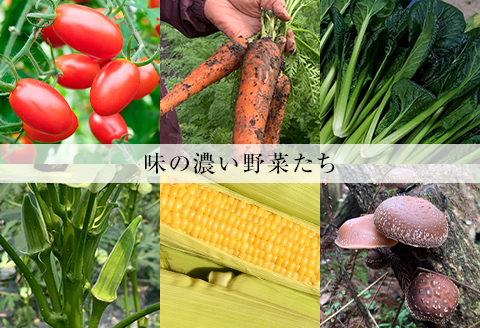 【産地直送】島根県津和野産・採れたて旬の野菜詰め合わせセット[6～8種セット]【配送不可地域：離島】