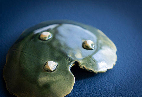 【日展入選作家作】つわぶき葉皿2枚