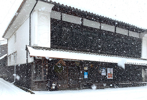 【期間限定】新酒「初陣」純米のしぼりたて生酒　720ml