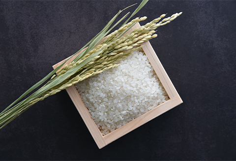 青野山の湧水と朝晩の寒暖差が育んだ棚田の甘～い米「コシヒカリ」(白米5kg×2袋)(令和7年産)