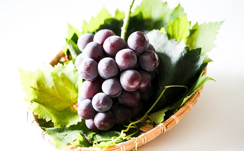 メロン2L1玉ピオーネ1房セット【2026年9月より順次発送】