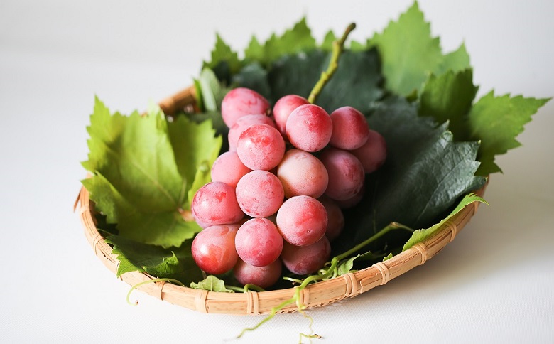 メロン2L1玉クインニーナ1房セット【2026年9月より順次発送】