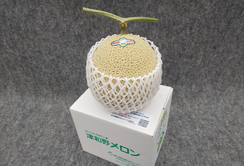 メロンパークの赤肉メロン【2026年9月より順次発送・2Lサイズ1玉】
