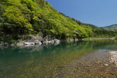 【CAS冷凍】スイカの香りと美味しさを閉じ込めた清流・高津川の天然鮎200g×3袋(約600g)【配送不可地域：離島】
