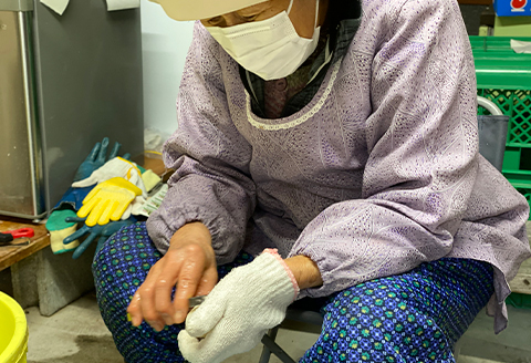 ねっとりと濃い味わいの里芋〈皮むき〉400g×3パック【配送不可地域：離島】