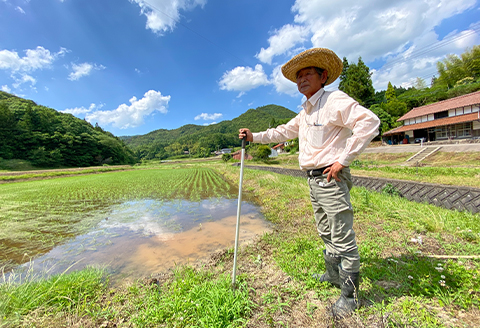 高津川の恵み 特別栽培米ヘルシー元氣米2kg×2袋(4kg)(令和7年産)