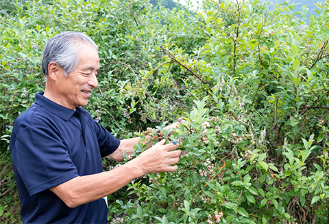 【2026年7月発送】朝どれ「生ブルーベリー」詰め合わせ〈1kg〉【栽培期間中農薬・化学肥料未使用】【配送不可地域：離島】