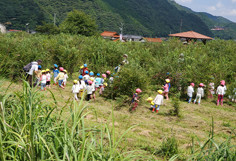【2026年7～8月】【時間無制限】ブルーベリー食べ放題　2名分