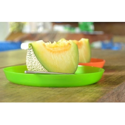 メロンパークのメロン【2026年8月より順次発送・2Lサイズ2玉】