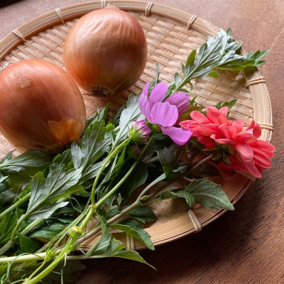 手ぶらで参加】季節の植物でシルクストールを染める「草木染体験チケット」: 津和野町ANAのふるさと納税