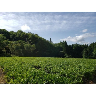 津和野町産煎茶を使用した「粉末煎茶」30g×3パック