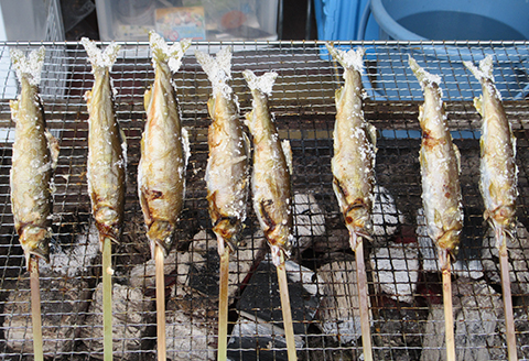 【CAS冷凍】スイカの香りと美味しさを閉じ込めた清流・高津川の天然鮎3尾/袋×3(約450g)【配送不可地域：離島】