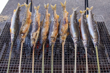 〈清流・高津川産〉香味豊かな天然鮎の炭火塩焼き1匹入りレトルト×2袋