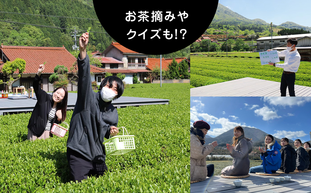【参加チケット】茶畑を一望するお茶農家のテラスで煎茶体験＆飲み比べ