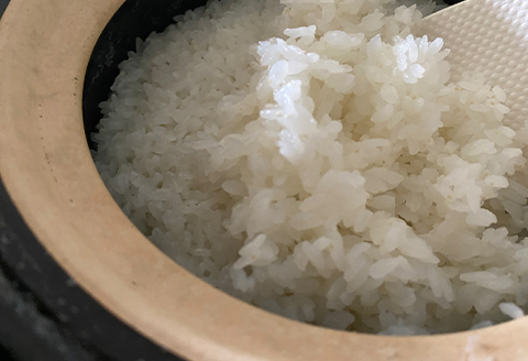 青野山の湧水と朝晩の寒暖差が育んだ棚田の甘～い米「コシヒカリ」(白米5kg×1袋)(令和7年産)