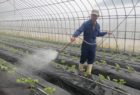 【ふるさと納税限定】メロン食べ放題ペアチケット〈2026年8～9月〉【配送不可地域：離島】